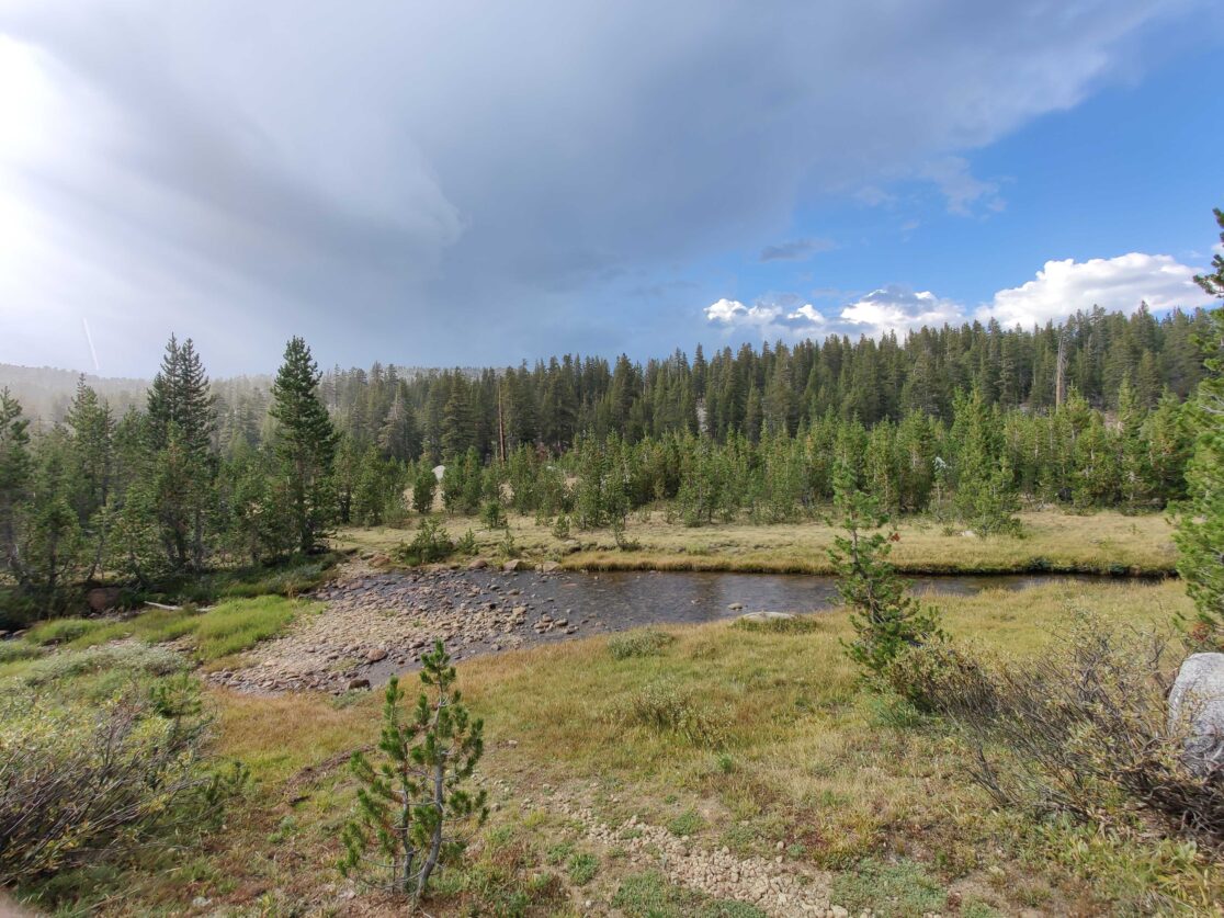 Fleming Creek Thunderstorm
